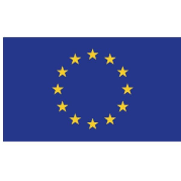 The flag of the European Union